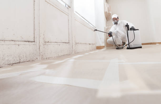 24/7 Emergency Mold Remediation experts in Oxford, MI